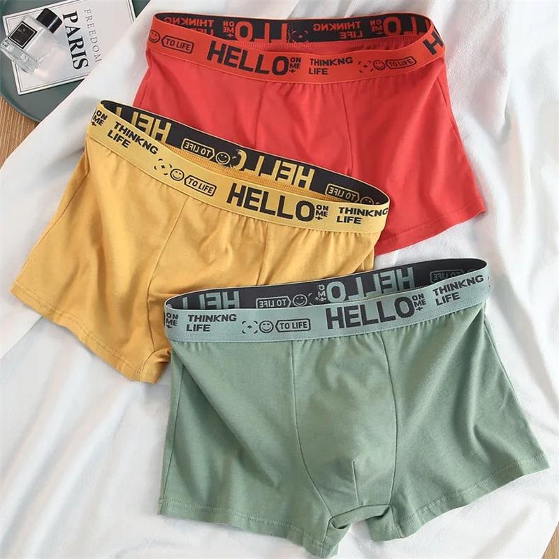 10Pieces/ Men's Underwear Men  – Boxer Brief Pack Cotton recenzja i cena